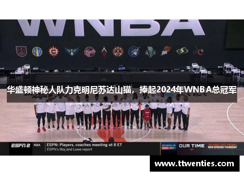 华盛顿神秘人队力克明尼苏达山猫，捧起2024年WNBA总冠军