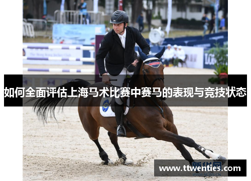 如何全面评估上海马术比赛中赛马的表现与竞技状态